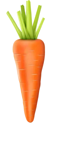 carrot