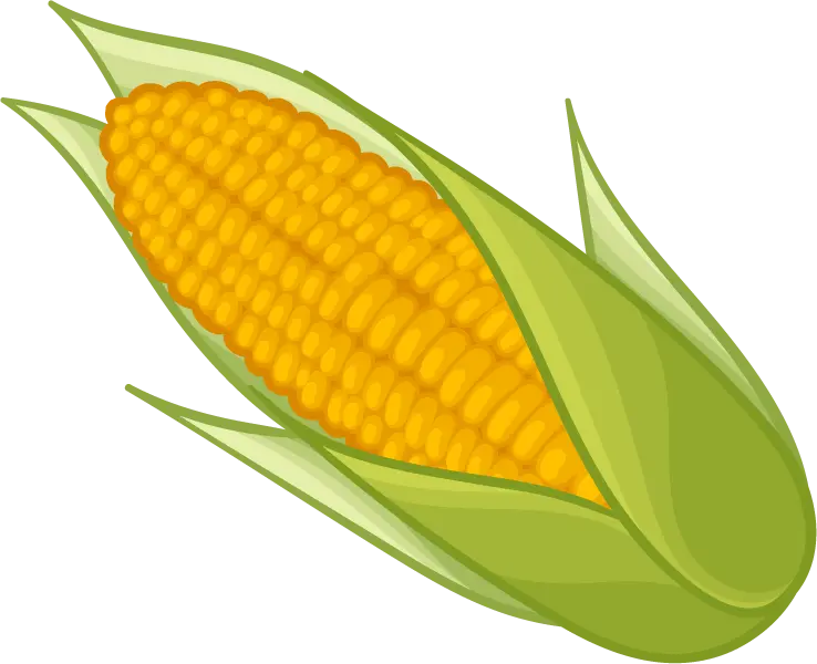 corn